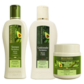 Kit Capilar Bio Extratus Condicionador Pós Química 250Ml + Shampoo Pós Química 250Ml + Banho De Creme Pós Química 250G