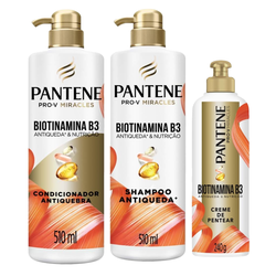 Kit Capilar Pantene Shampo Biotinamina B3 Antiqueda 510ml + Condicionador 510ml + Creme Para Pentear 240g