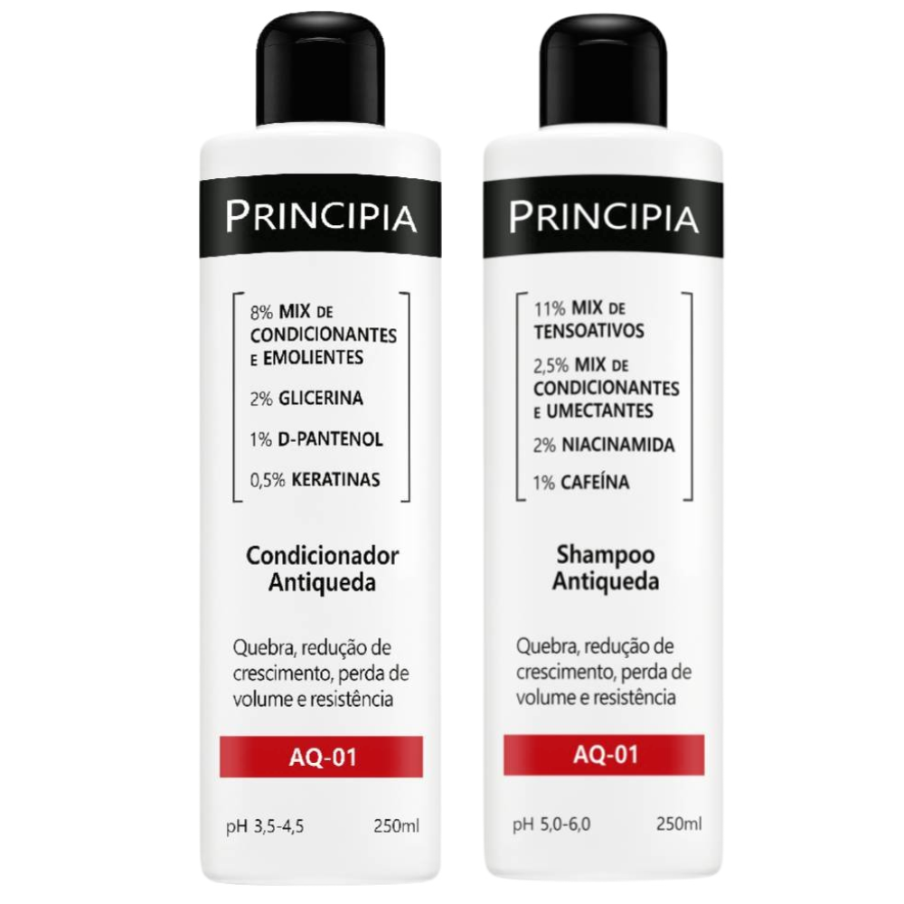 Kit Principia Condicionador Antiqueda Aq 01 250ml + Shampoo Antiqueda Aq 01 250ml