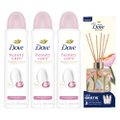 Kit Dove Desodorante Aerosol Beauty Finish 150Ml 3 unidades + Grátis Difusor