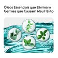 ENXAGUANTE BUCAL LISTERINE COOL MINT INTENSO 250ML