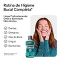 ENXAGUANTE BUCAL LISTERINE COOL MINT INTENSO 250ML