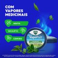VICK VAPORUB POMADA PARA GRIPE, CONGESTÃO NASAL E TOSSE 12G