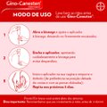 GINO CANESTEN CREME VAGINAL 1% 35G COM 6 APLICADORES