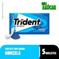 GOMA DE MASCAR TRIDENT HORTELÃ