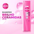 SHAMPOO SEDA CERAMIDAS INFUSÃO ATIVA RETINOL E COLÁGENO 325ML
