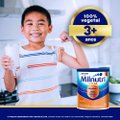 COMPOSTO LÁCTEO MILNUTRI PREMIUM SOJA 800G
