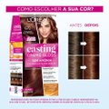 TINTA DE CABELO CASTING CREME GLOSS DE L'ORÉAL PARIS 670 CHOCOLATE COM PIMENTA 246G