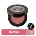 BLUSH PANVEL MAKE UP MALVA 3,5G
