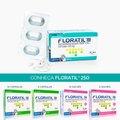 FLORATIL 100MG 12 CÁPSULAS BLISTER
