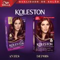 TINTURA KOLESTON 46 BORGONHA
