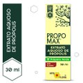 EXTRATO DE PRÓPOLIS APIS FLORA SEM ÁLCOOL 30ML