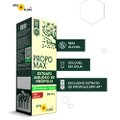 EXTRATO DE PRÓPOLIS APIS FLORA SEM ÁLCOOL 30ML