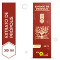 EXTRATO DE PRÓPOLIS APISFLORA 30ML