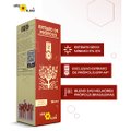 EXTRATO DE PRÓPOLIS APISFLORA 30ML