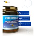 PROPOMALVA COMPOSTO APIS FLORA 300G