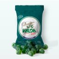 PASTILHAS VALDA DIET 12G