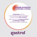 GASTROL ANTIÁCIDO SUSPENSÃO ORAL 250ML