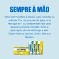 ESTOMAZIL 10 PASTILHAS MASTIGÁVEIS SABOR LIMÃO