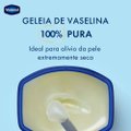 GELEIA DE VASELINA VASENOL ORIGINAL 100G