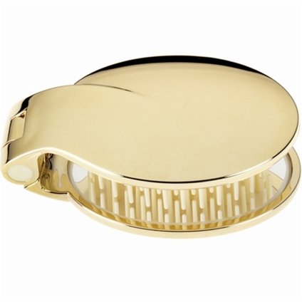 ESCOVA CABELO BOLSA JANEKE GOLDEN AUSP03
