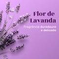 DESODORANTE AEROSOL MONANGE FLOR DE LAVANDA 150ML