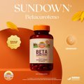 SUPLEMENTO ALIMENTAR SUNDOWN BETACAROTENO 2.000 UI 90 CÁPSULAS