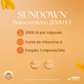 SUPLEMENTO ALIMENTAR SUNDOWN BETACAROTENO 2.000 UI 90 CÁPSULAS