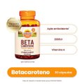 SUPLEMENTO ALIMENTAR SUNDOWN BETACAROTENO 2.000 UI 90 CÁPSULAS