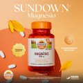 SUPLEMENTO ALIMENTAR SUNDOWN MAGNÉSIO 250MG 100 COMPRIMIDOS