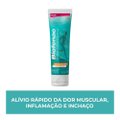 BIOFENAC ANTI-INFLAMATÓRIO E DOR MUSCULAR 11,6MG/G GEL COM 30G
