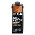 BEBIDA LÁCTEA DUX WHEY PROTEIN SHAKE DOCE DE LEITE 15G 250ML