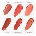 BLUSH EM BASTÃO MASCAVO FLUSH GOJIBERRY 6G