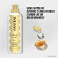 CREME PARA PENTEAR PANTENE PRO-V HIDRATAÇÃO 240G