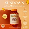 SUPLEMENTO ALIMENTAR SUNDOWN CAL-MAG-ZIN 100 COMPRIMIDOS