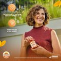 SUPLEMENTO ALIMENTAR SUNDOWN CAL-MAG-ZIN 100 COMPRIMIDOS
