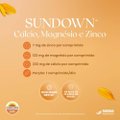 SUPLEMENTO ALIMENTAR SUNDOWN CAL-MAG-ZIN 100 COMPRIMIDOS