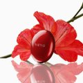 BASE COMPACTA TIRTIR RED CUSHION 23N SAND 18G