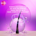 KIT SEDA MEGA CRESCIMENTO SHAMPOO 300ML + CONDICIONADOR 190ML