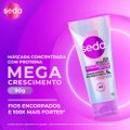 MÁSCARA DE TRATAMENTO CAPILAR SEDA MEGA CRESCIMENTO 90G