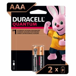 Pilha Alcalina Duracell Quantum Aaa 2un