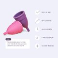 COLETOR MENSTRUAL FLEURITY TIPO 1 COM 2 UNIDADES