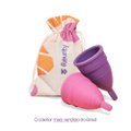 COLETOR MENSTRUAL FLEURITY TIPO 2 COM 2 UNIDADES