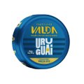 PASTILHAS VALDA URUGUAI DOCE DE LEITE 50G