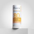 PROTETOR SOLAR FACIAL EM BASTÃO (STICK) FPS80 PANVEL DERMATIV COR 05 13G