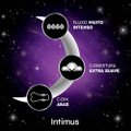ABSORVENTE INTIMUS TODA TRANQUILA SUAVE COM ABAS EXTRA LONGO 8 UNIDADES