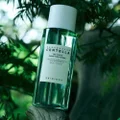 TÔNICO FACIAL SKIN1004 CENTELLA TEA-TRICA PURIFYING TONER 210ML