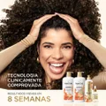 CONDICIONADOR PANTENE BIOTINAMINA B3 ANTIQUEDA 1L