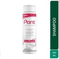 SHAMPOO PANT ANTIQUEDA ACHÉ 200ML
