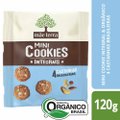 COOKIE ORGÂNICO DIET 4 CASTANHA MÃE TERRA 120G